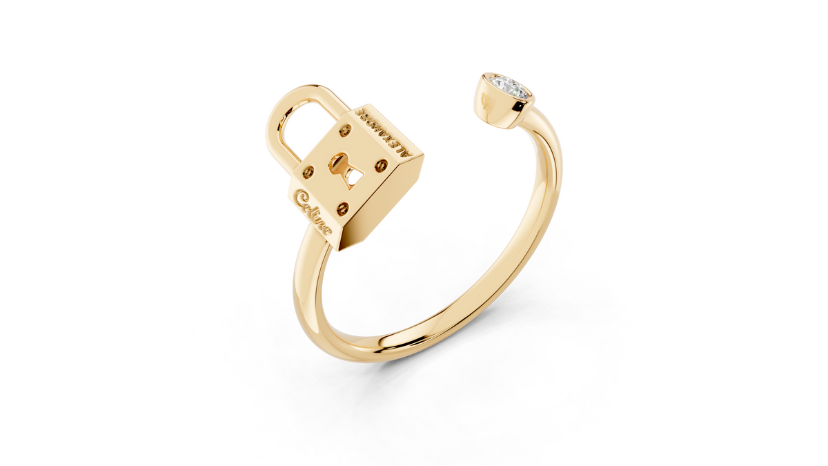 ANILLO DE CANDADO PONT NEUF