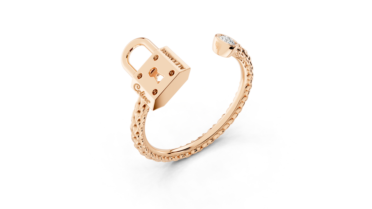 BAGUE CADENAS PONTS DES ARTS