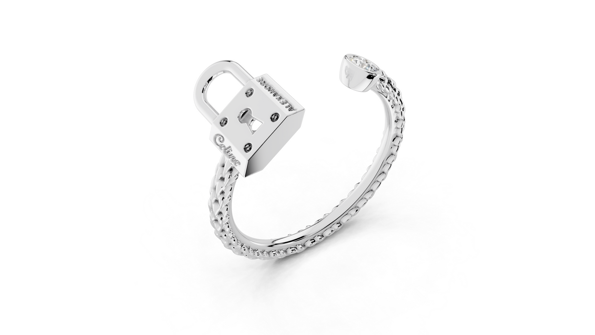 PONT DES ARTS PADLOCK RING