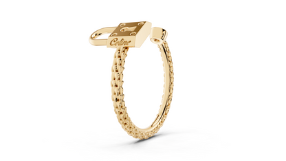 PONT DES ARTS PADLOCK RING